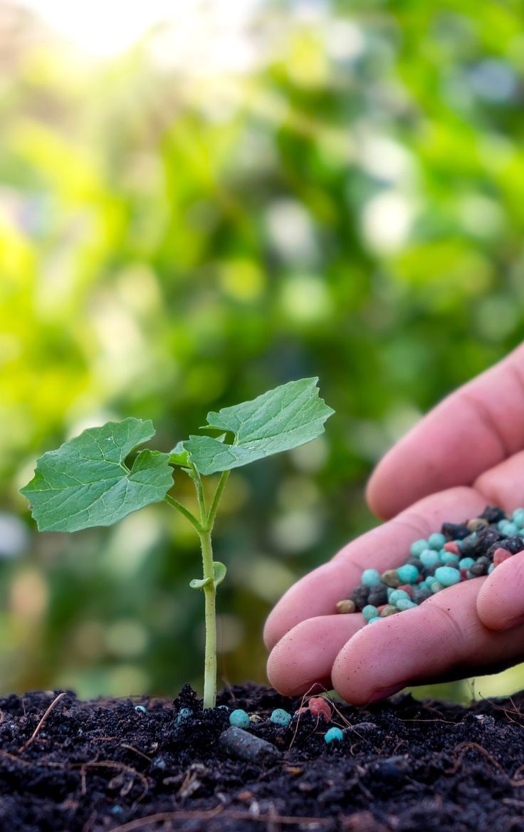 Micronutrient Mix (Fe, Zn, Mn, Cu)